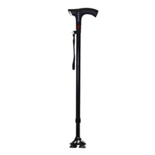 WALKING STICK TWA001