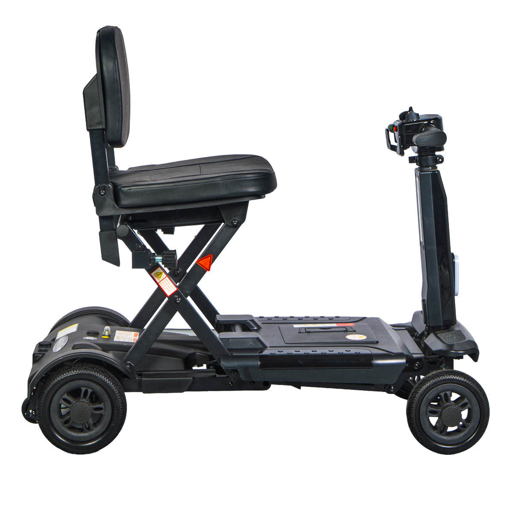 Scooter-Type Aegle