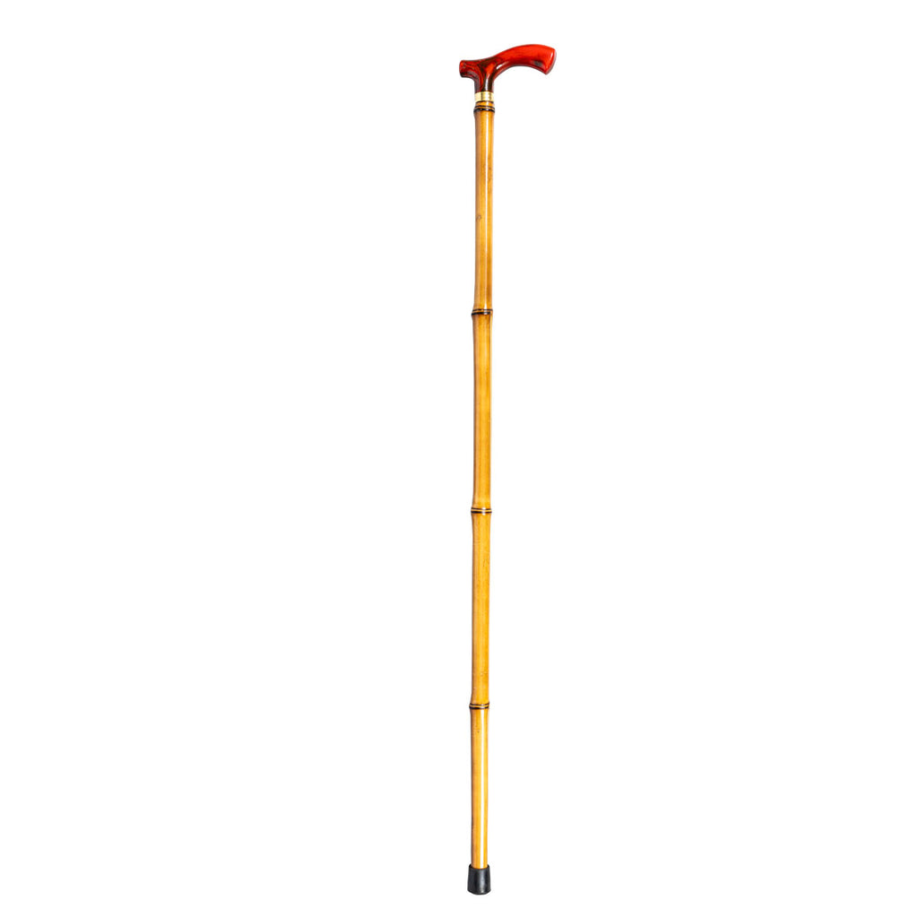 Bamboo Cane with Imitation Horn Handle