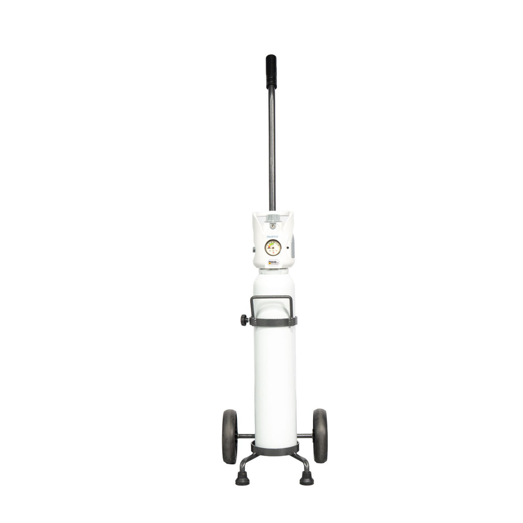 Oxygen Cylinder Cart 2lt & 3lt
