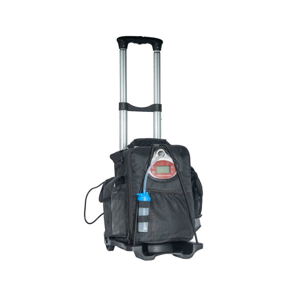 Pulse and Continuous Flow Portable Oxygen Concentrator