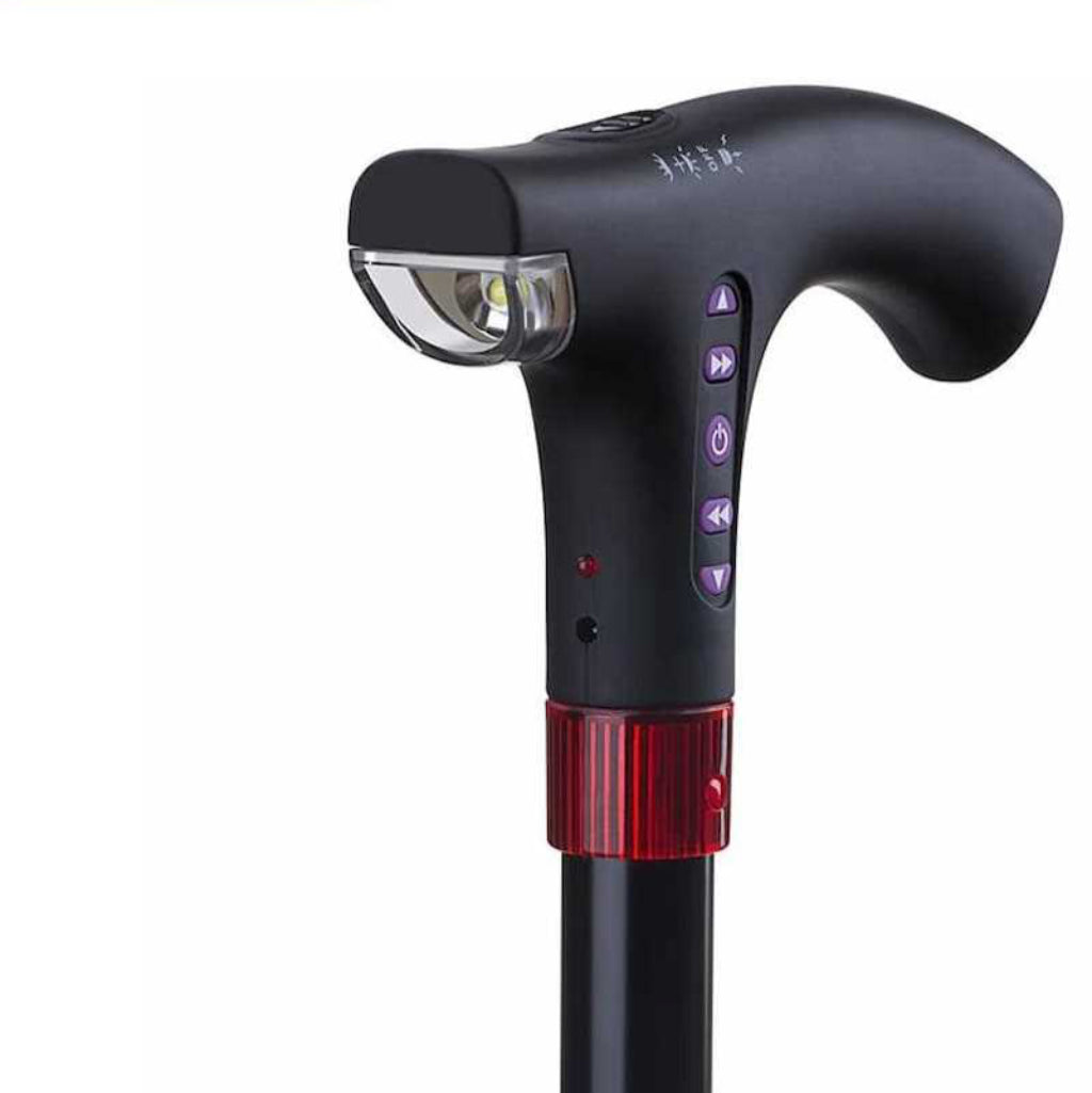 WALKING STICK TWA001