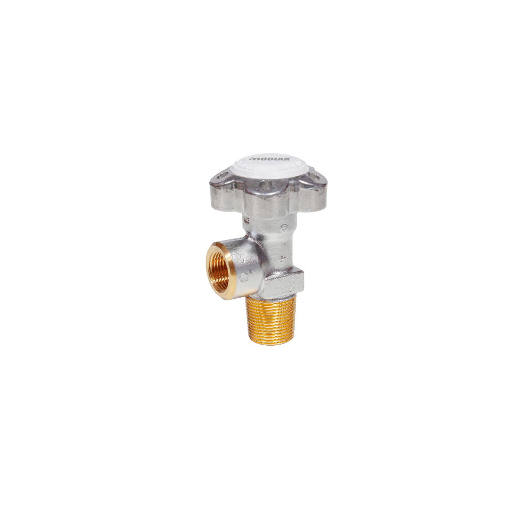 High Pressure Brass Cylinder Valve for O2 25E, RHPI/CHR/38-B/cape Mobiak