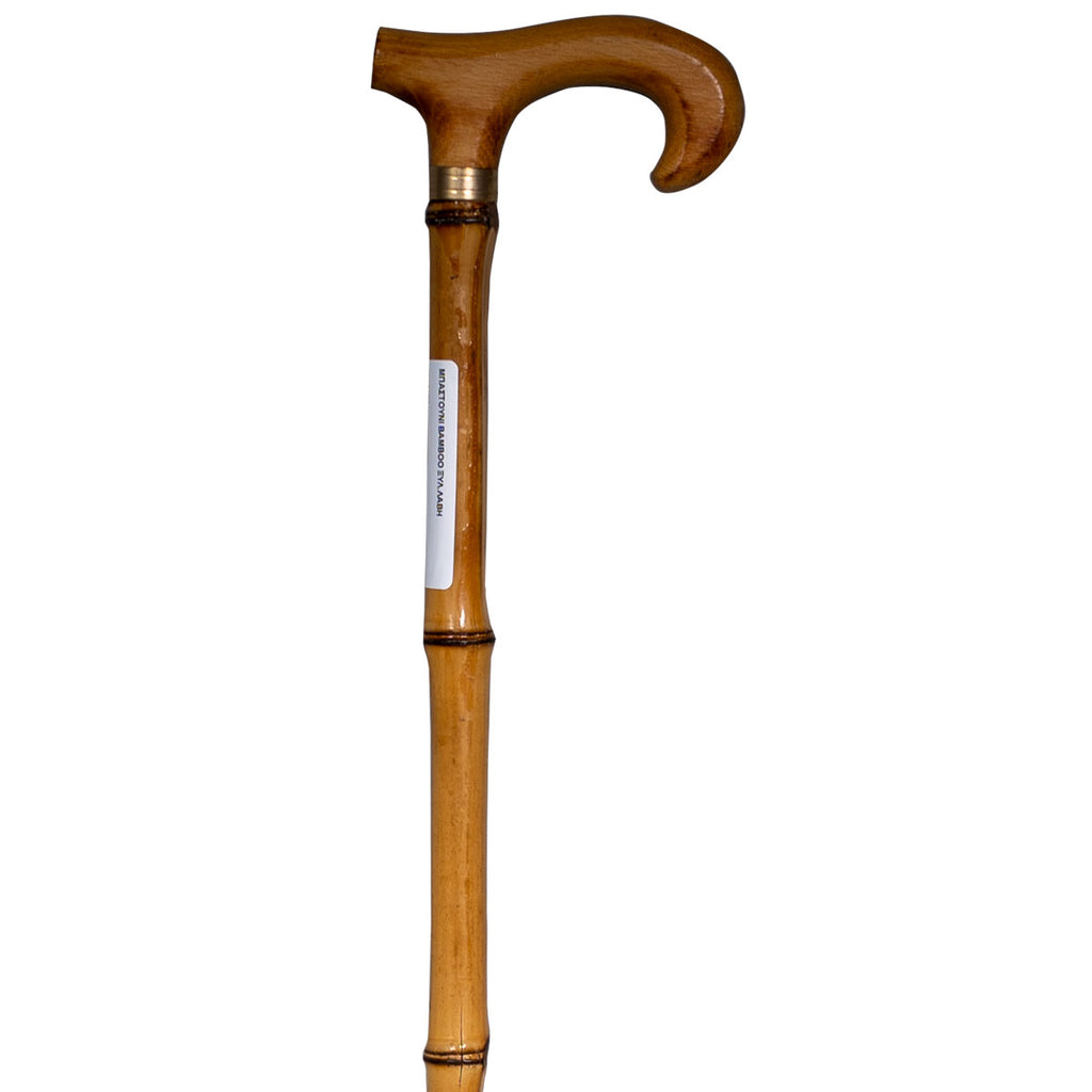 Bamboo Cane with Wooden Handle