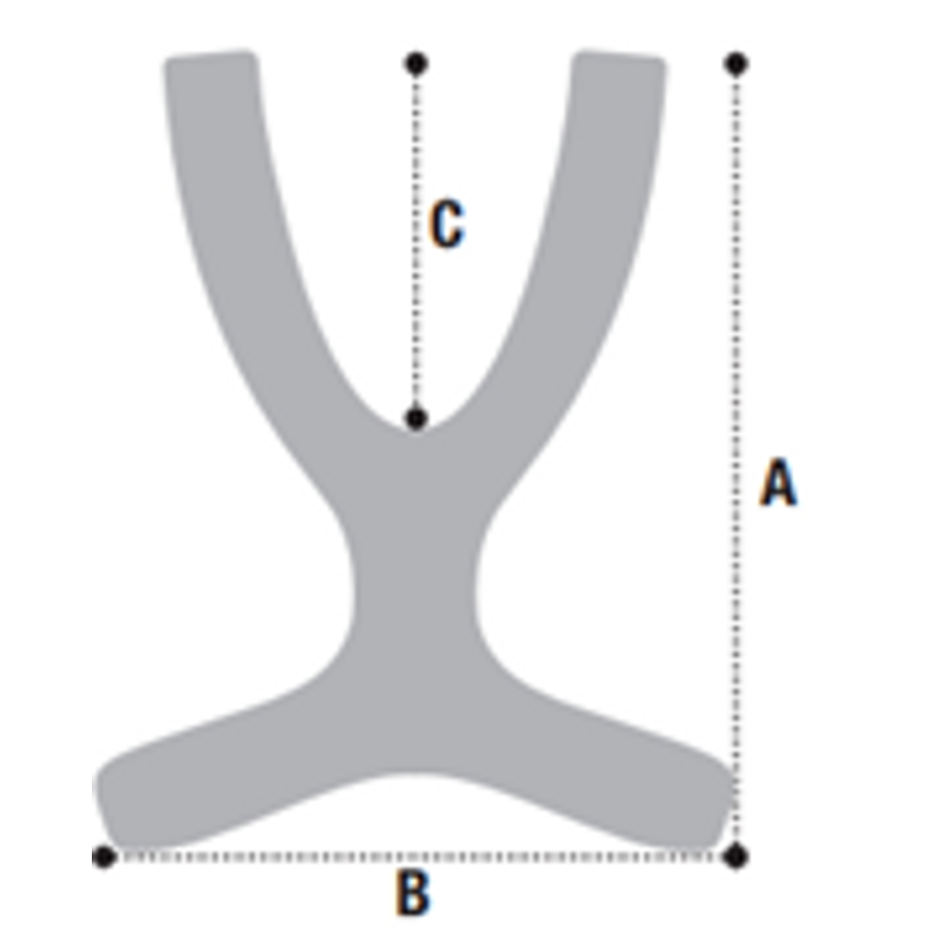Body Support Belt