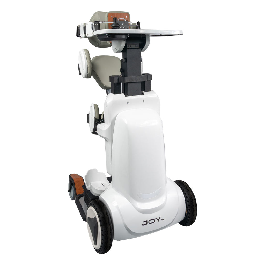 Stand-Up Wheelchair "Joy"