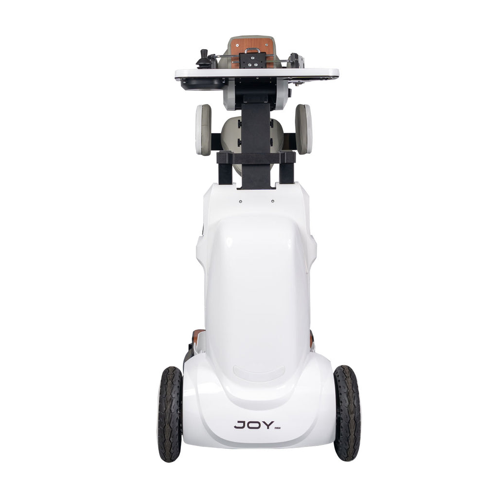 Stand-Up Wheelchair "Joy"