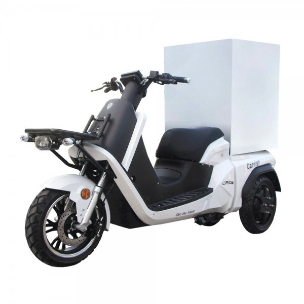 E-Ride Carrier Delivery 50 Electric Scooter With 110 Km Range