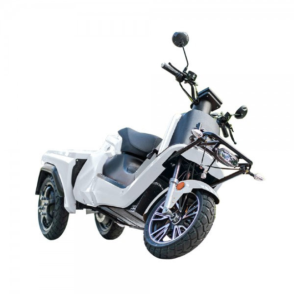 E-Ride Carrier Delivery 50 Electric Scooter With 110 Km Range