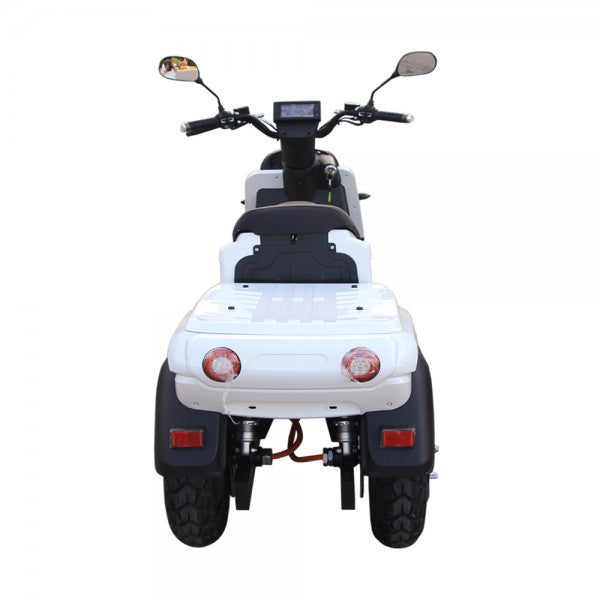 E-Ride Carrier Delivery 50 Electric Scooter With 110 Km Range