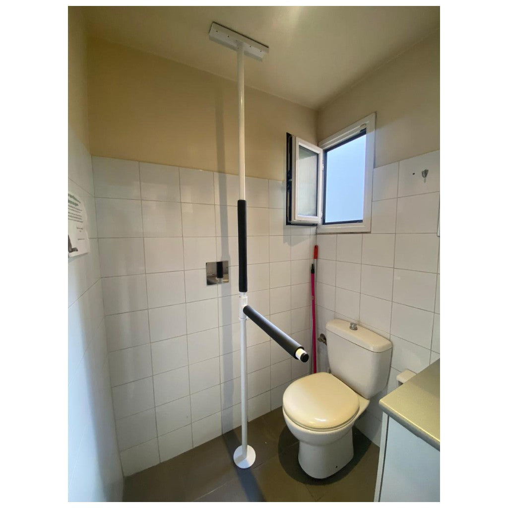 Support pole with horizontal handle