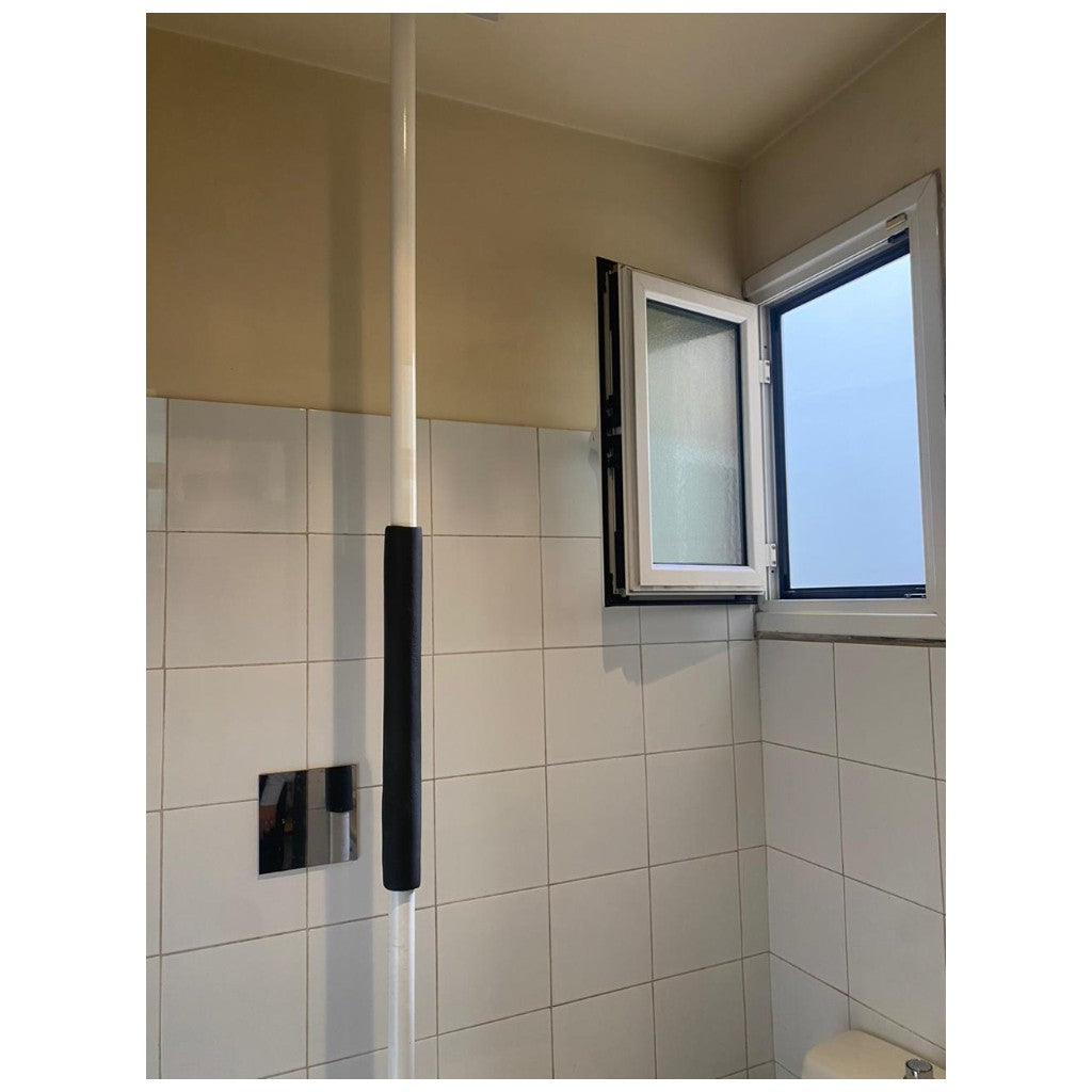 Fixing and supporting pole in use