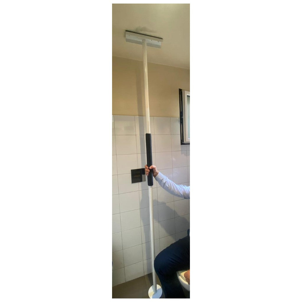 Fixing and supporting pole