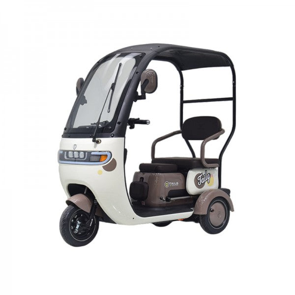 TAILG X4 Electric Tricycle With Lead-Acid Battery