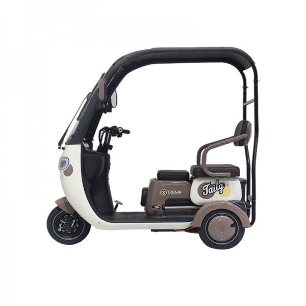 TAILG X4 Electric Tricycle With Lead-Acid Battery
